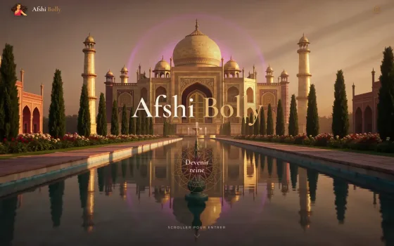 Page d'accueil du site Afshi Bolly : palais indien au crépuscule et titre en pleine page.